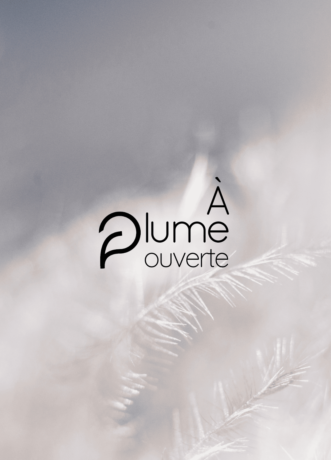 Images verticales site web Bâme (25)