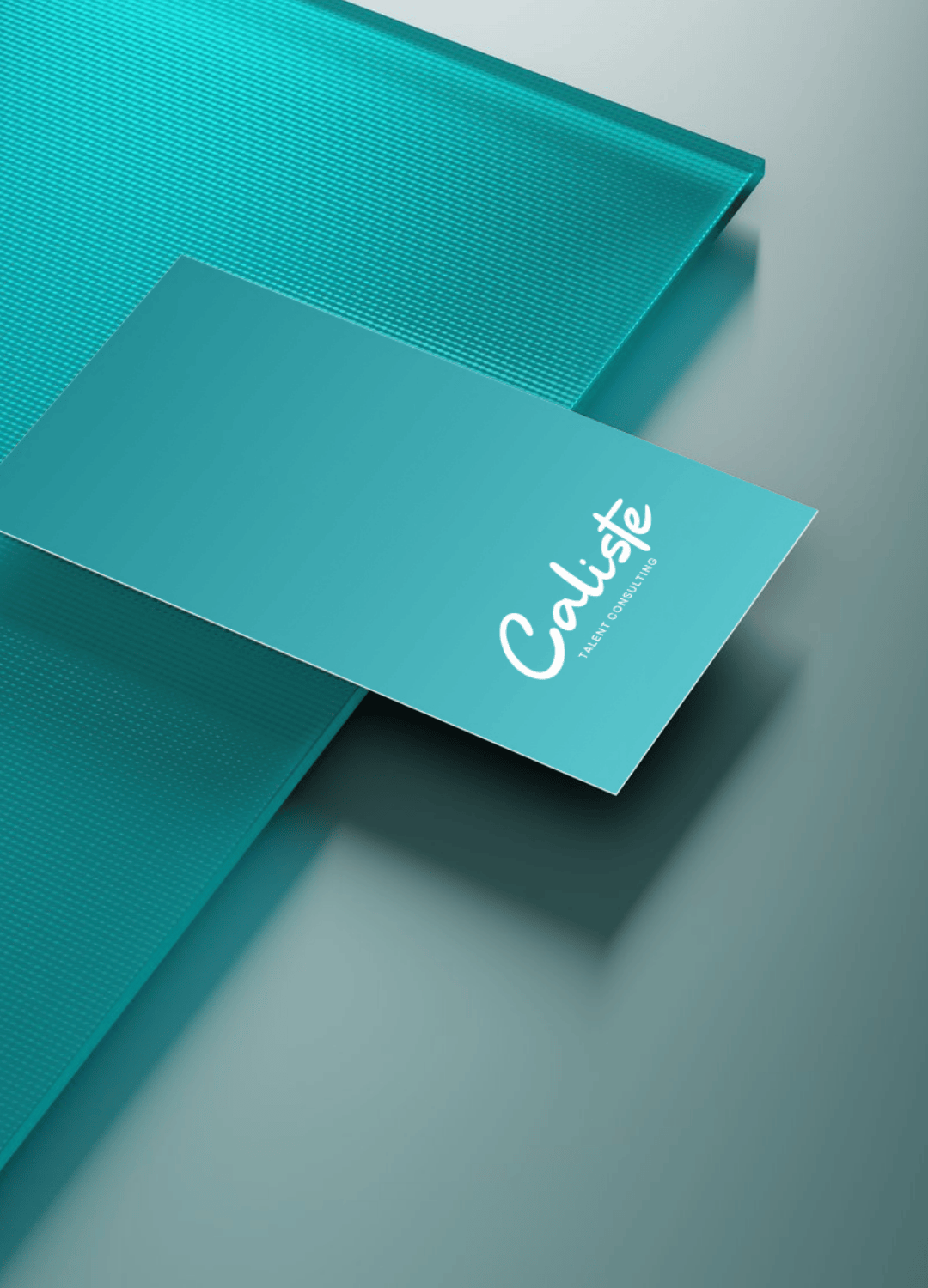 Images verticales site web Bâme (2)